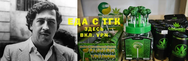 СК Алзамай