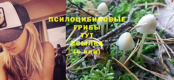 кокаин колумбия Алексин