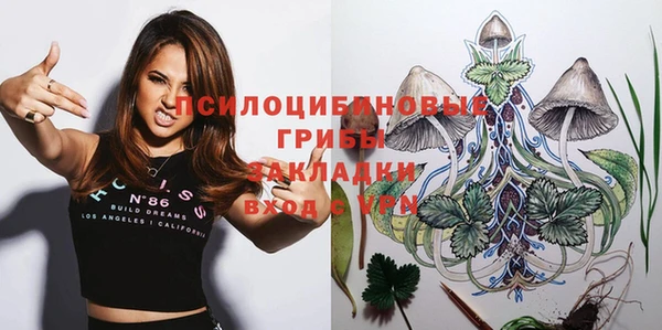 СК Алзамай