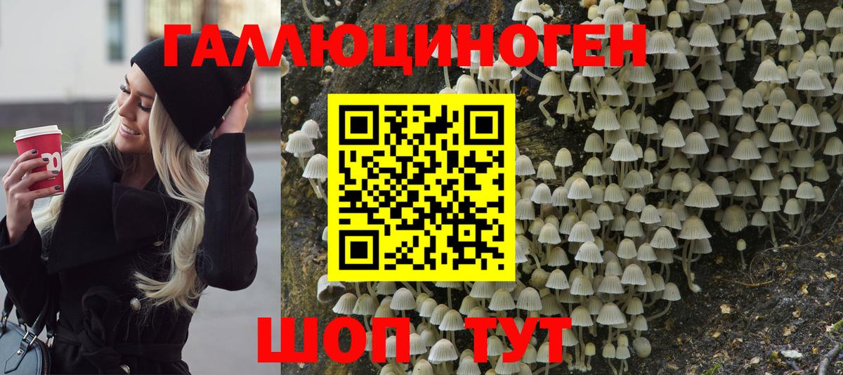 Псилоцибиновые грибы MAGIC MUSHROOMS  Вход с VPN  Карабулак 