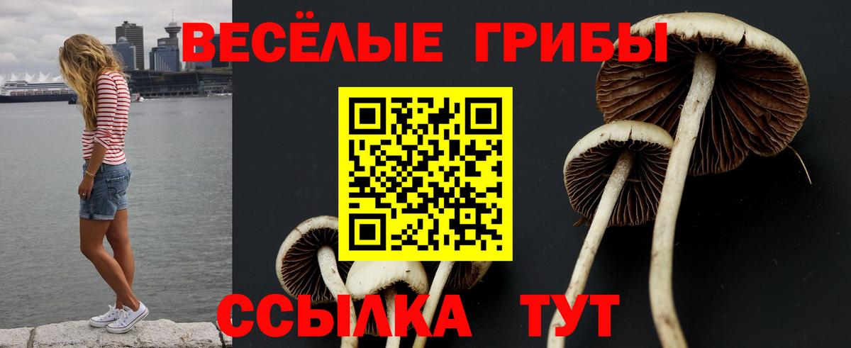Псилоцибиновые грибы мицелий Карабулак